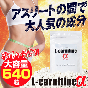 送料無料 L-carnitineα L-カルニチンα 容量約6か月分 カテキン L-カルニチン コエンザイイムQ10配合！ ダイエットサプリ